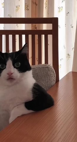 Я почти закончил работать по этому поводу вам healing cringe