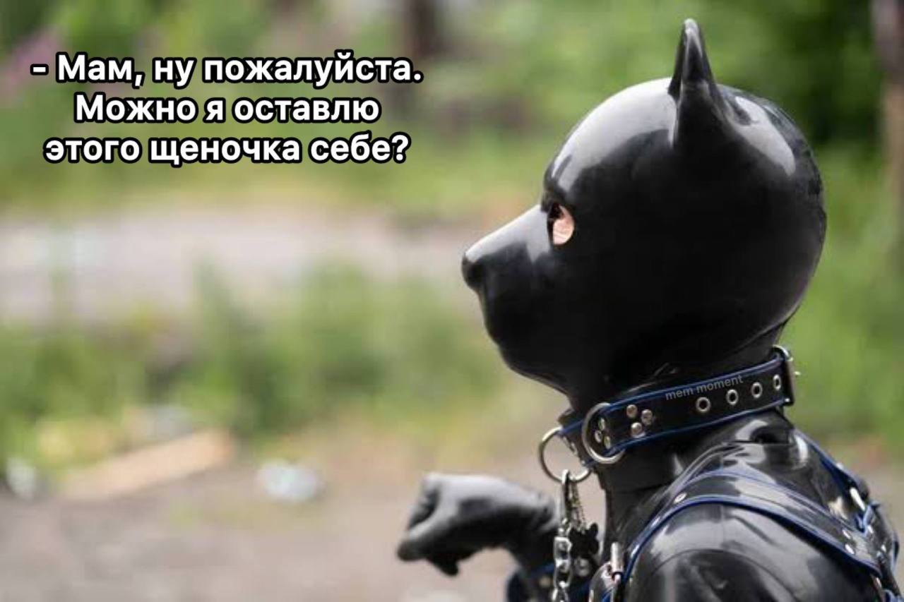 Мам, ну пожалуйста. Можно я оставлю этого щеночка себе?