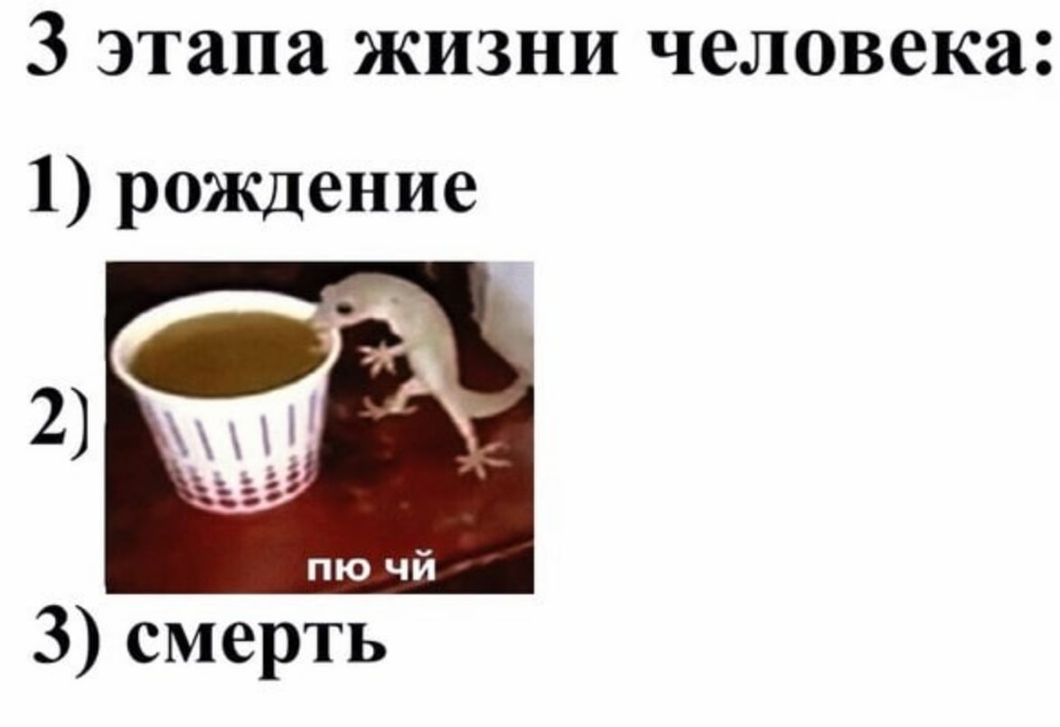 3 этапа жизни человека: 1) рождение 3) смерть