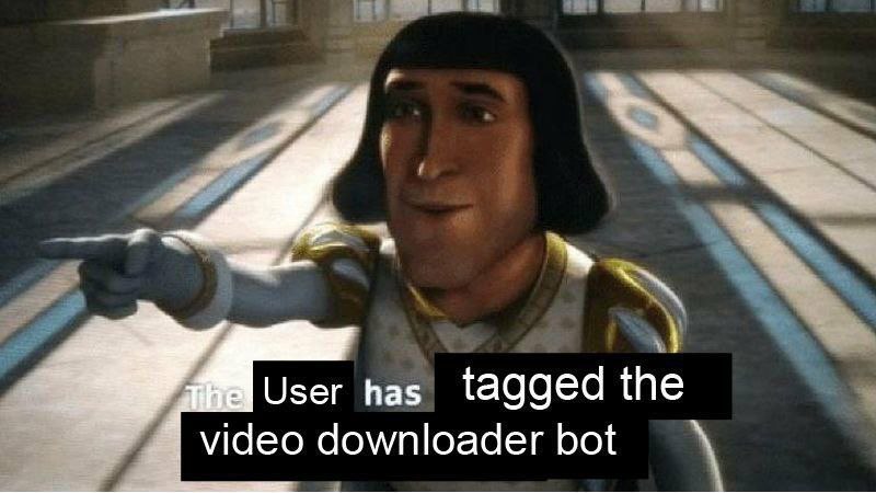 ser has tagged the video downloader bot