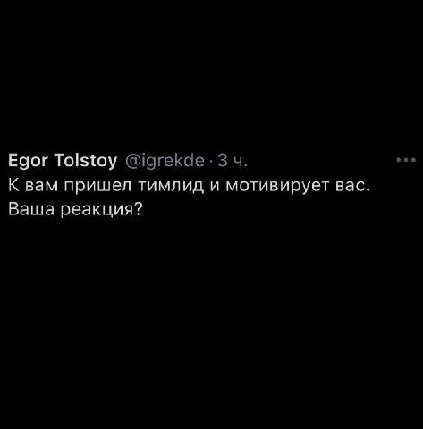 Egor Tolstoy К вам пришел тимлид и мотивирует вас. Ваша реакция?