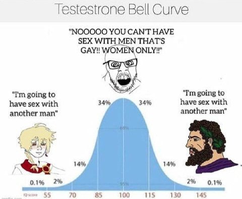 Testestrone Bell Curve "NOOOOO YOU CAN'T HAVE SEX WITH MEN THAT'S САУ! ОМГУ!" going to going to have sex with 34% 34% have sex with another man" another man" 14% 14% 0.1% 2% 2% 0.1% 55 70 85 100 15 13