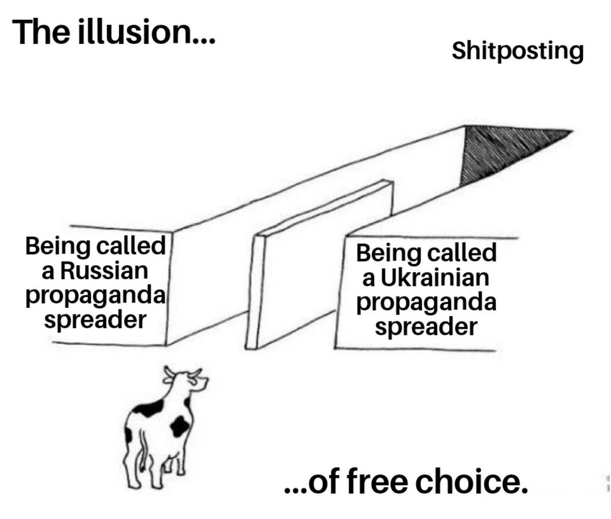 The illusion Shitposting Being called a Russian Being called a Ukrainian propaganda propaganda spreader spreader of free choice.