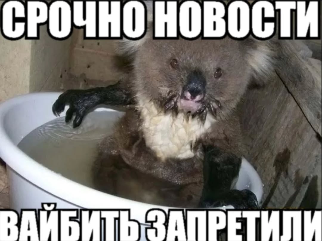 СРОЧНО HOBOCTH
