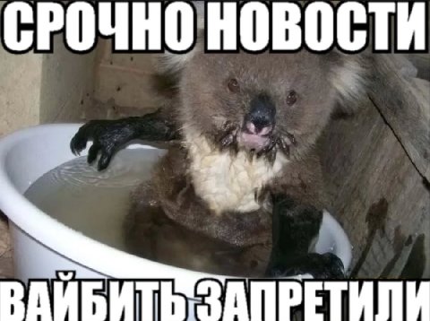 СРОЧНО HOBOCTH