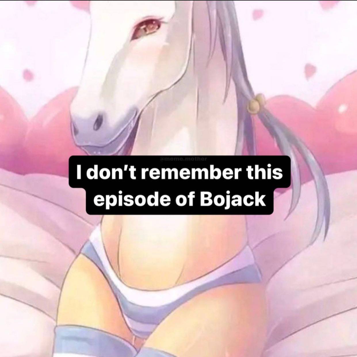 don’t remember this episode of Bojack