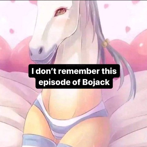 don’t remember this episode of Bojack