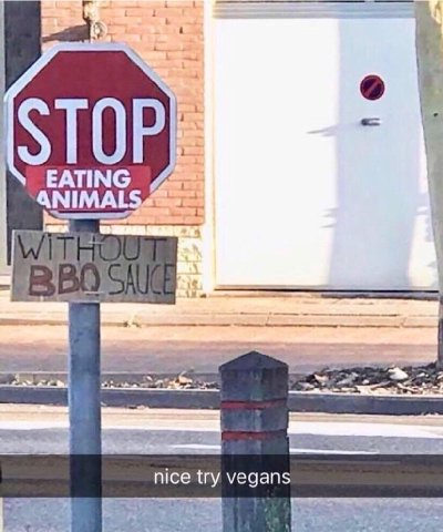 i 1 STO i 5 me Wits и a ‘4 nice try vegans