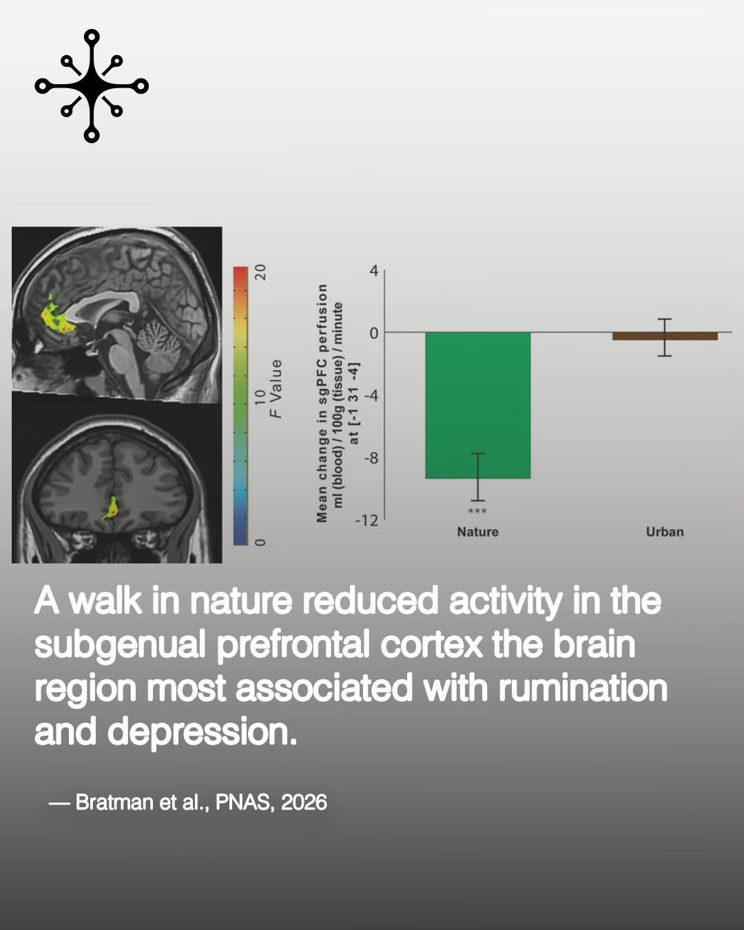 a} 5 Но 3 Nature Urban subgenual prefrontal cortex the brain region most associated with rumination and depression. Bratman PNAS, 2026