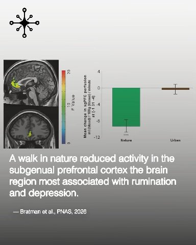 a} 5 Но 3 Nature Urban subgenual prefrontal cortex the brain region most associated with rumination and depression. Bratman PNAS, 2026