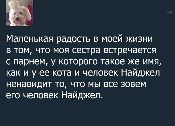 Маленькая радость в моей жизни в том, что моя сестра встречается с парнем, у которого такое же имя, как и у ее кота и человек Найджел ненавидит то, что мы все зовем его человек Найджел.