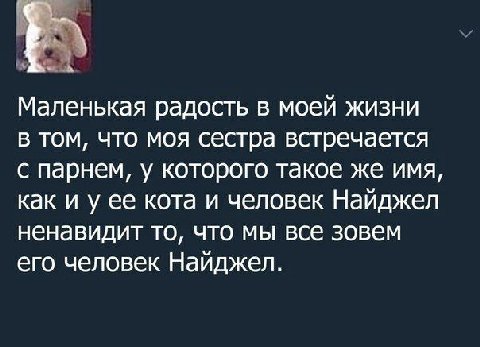 Маленькая радость в моей жизни в том, что моя сестра встречается с парнем, у которого такое же имя, как и у ее кота и человек Найджел ненавидит то, что мы все зовем его человек Найджел.