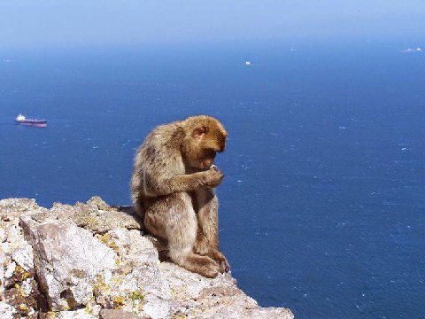 друзья ебейших вам выходных