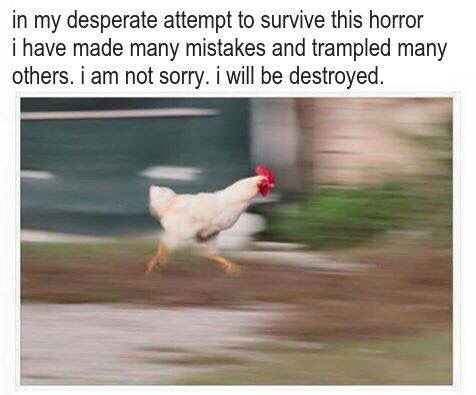 in my desperate attempt to survive this horror i have made many mistakes and trampled many others. iam not sorry. i will be destroyed.