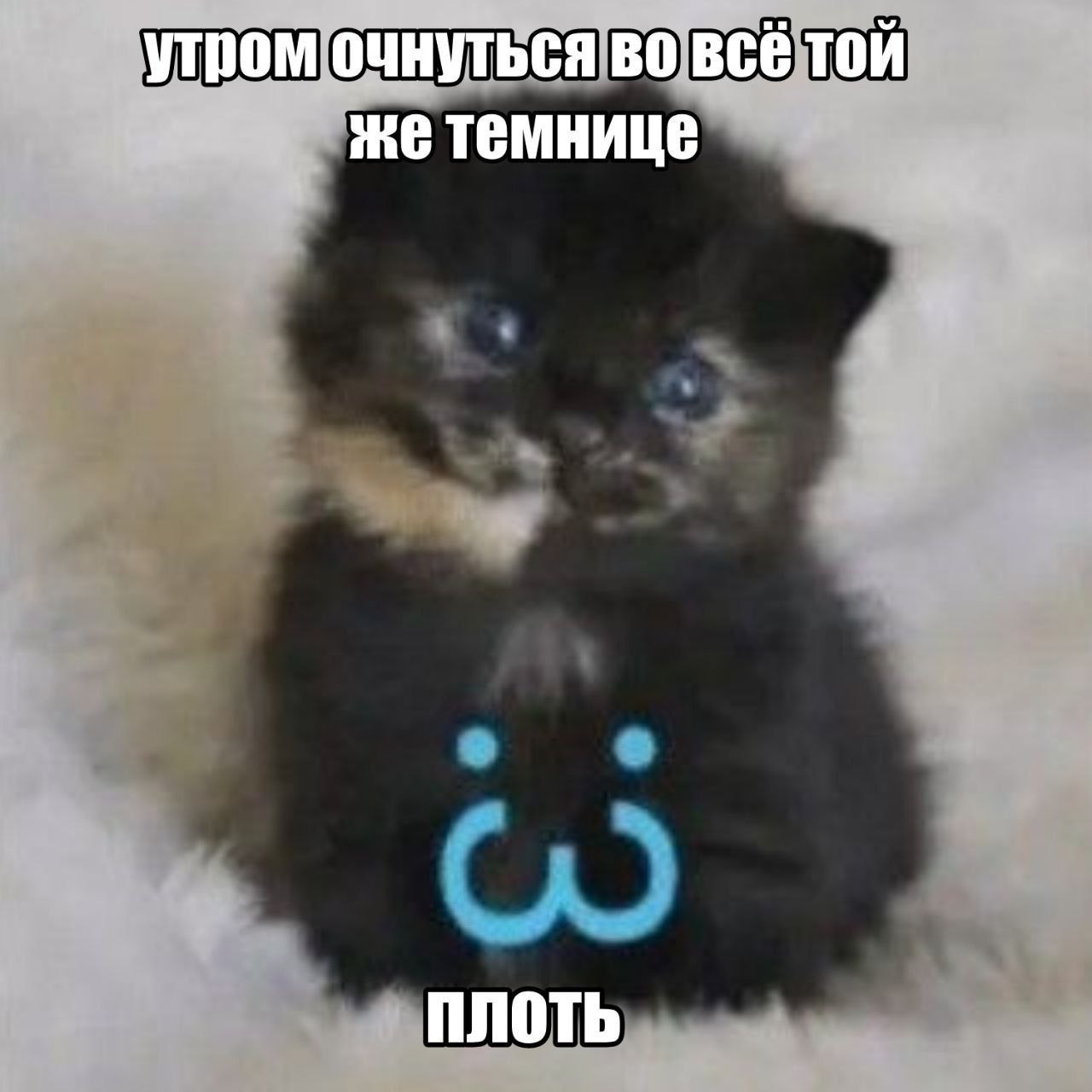утром очнуться во BCE той жетемнице ПЛОТЬ