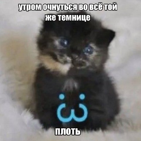 утром очнуться во BCE той жетемнице ПЛОТЬ