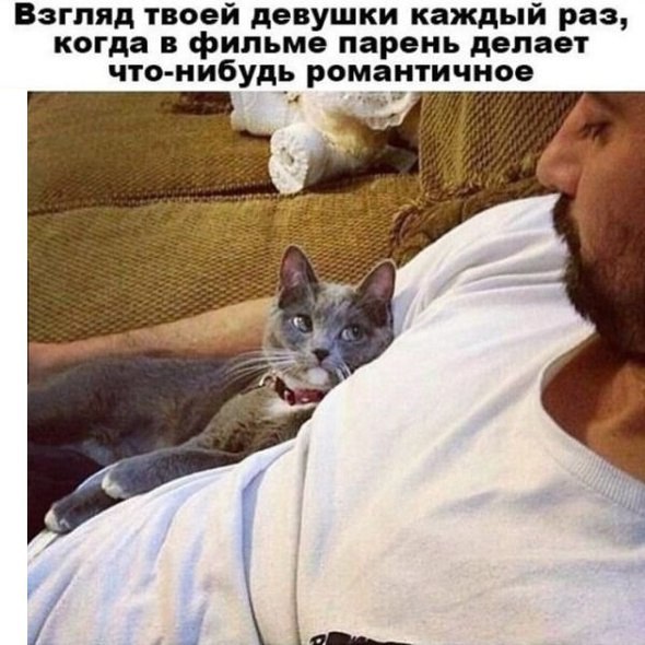 Взгляд твоей девушки каждый раз, когда в фильме парень делает что-нибудь романтичное 3