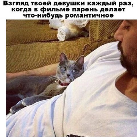 Взгляд твоей девушки каждый раз, когда в фильме парень делает что-нибудь романтичное 3