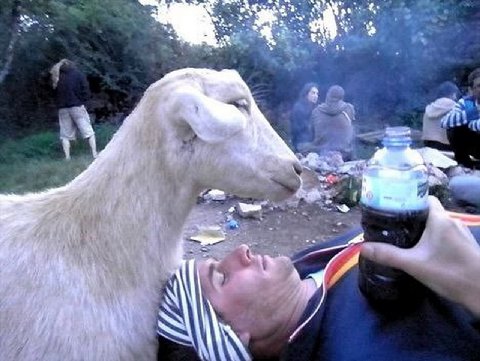 i A у. Я