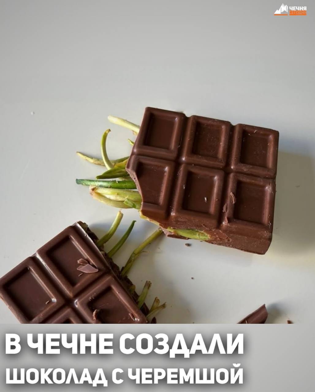 СОЗДАЛИ ШОКОЛАД С ЧЕРЕМШОЙ