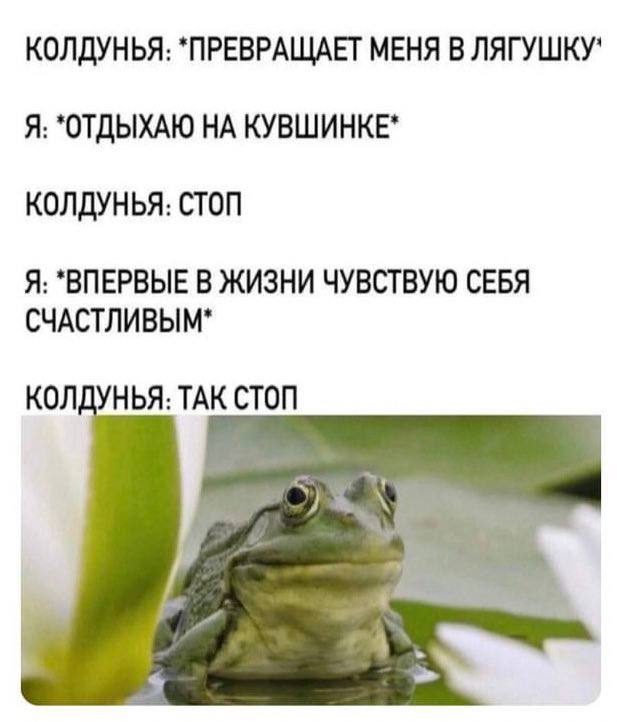 КОЛДУНЬЯ: "ПРЕВРАЩАЕТ МЕНЯ В Я: КУВШИНКЕ" КОЛДУНЬЯ: СТОП Я: "ВПЕРВЫЕ В ЖИЗНИ ЧУВСТВУЮ СЕБЯ СЧАСТЛИВЫМ" КОЛДУНЬЯ: ТАК СТОП