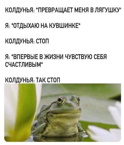 КОЛДУНЬЯ: "ПРЕВРАЩАЕТ МЕНЯ В Я: КУВШИНКЕ" КОЛДУНЬЯ: СТОП Я: "ВПЕРВЫЕ В ЖИЗНИ ЧУВСТВУЮ СЕБЯ СЧАСТЛИВЫМ" КОЛДУНЬЯ: ТАК СТОП
