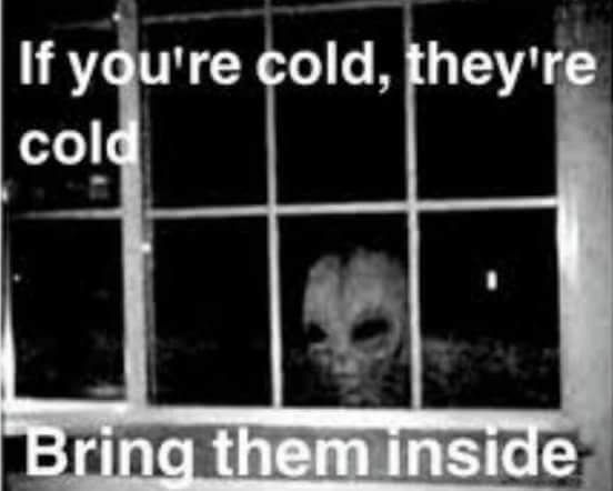 If you're cold. they're cold "Bring them inside