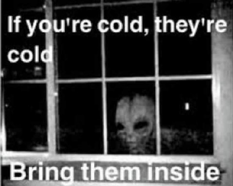 If you're cold. they're cold "Bring them inside