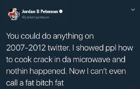 Jordan В Peterson You could anything on 2007-2012 twitter. showed ppl how to cook crack In microwave and nothin happened. Now can't even call a fat bitch fat