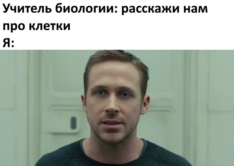 Учитель биологии: расскажи нам про клетки Я: