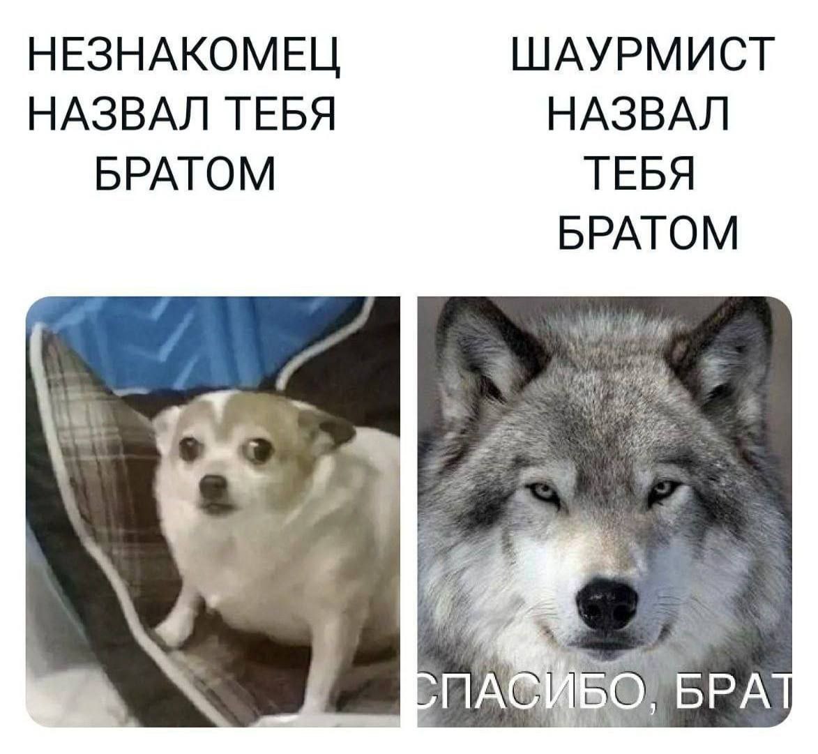 НЕЗНАКОМЕЦ ШАУРМИСТ НАЗВАЛ ТЕБЯ НАЗВАЛ БРАТОМ ТЕБЯ БРАТОМ БРА