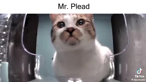 мем