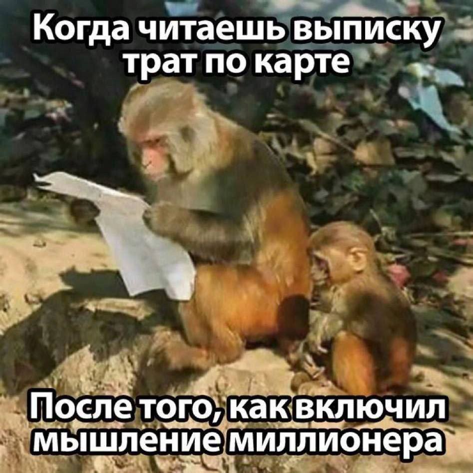 Когда читаешь выписку трат по карте После тогб; как включил мышление миллионера
