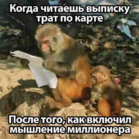 Когда читаешь выписку трат по карте После тогб; как включил мышление миллионера