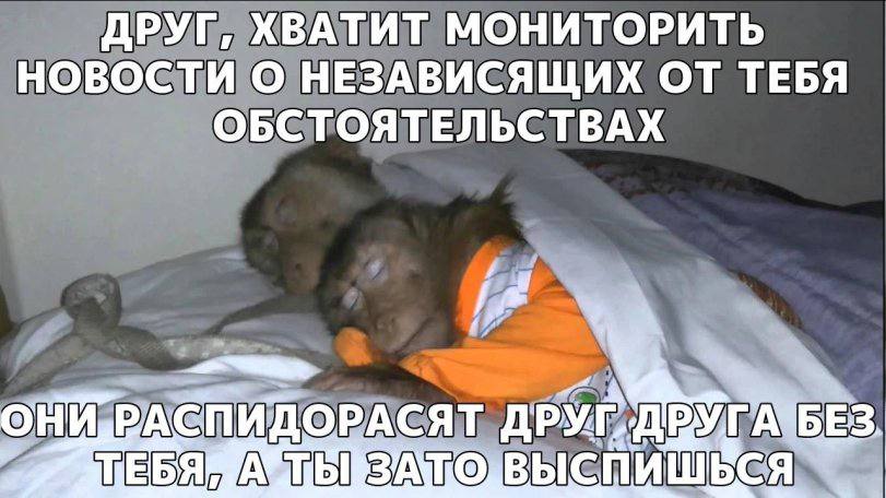 ДРУГ, ХВАТИТ МОНИТОРИТЬ НОВОСТИ О НЕЗАВИСЯЩИХ ОТ ТЕБЯ ОБСТОЯТЕЛЬСТВАХ AN ОРАСЯТ БЕЗ, ИШЬСЯ