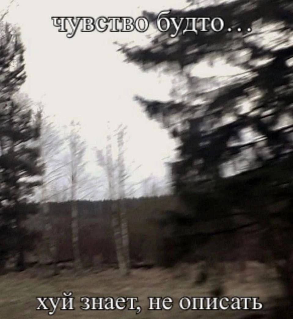 TYBCIBO 9 4a 3. 4 хуи знает, не описать