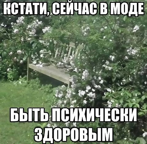 ИСТАТИ, СЕЙЧАС В МОДЕ 4 $3 2 БЫТЬ: