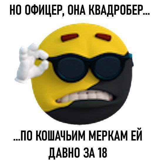 НО ОФИЦЕР, ОНА КВАДРОБЕР КОШАЧЬИМ МЕРКАМ ДАВНО ЗА 18