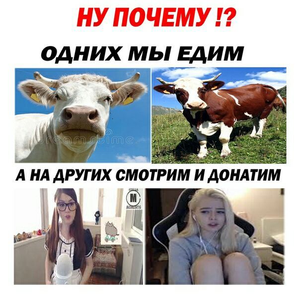 НУ ПОЧЕМУ ОДНИХ МЫ ЕДИМ 4 А НА ДРУГИХ СМОТРИМ И ДОНАТИМ с