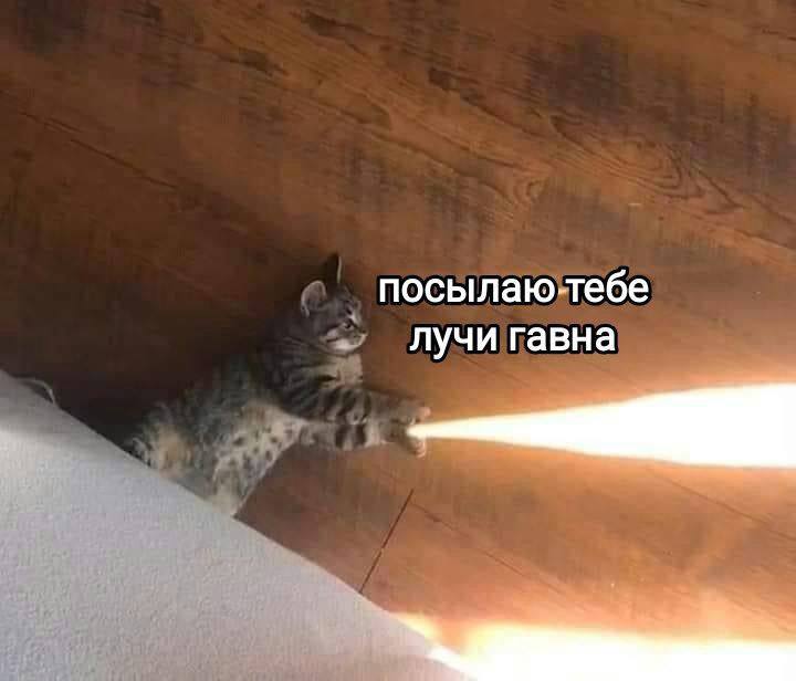 посылаю-тебе лучи гавна