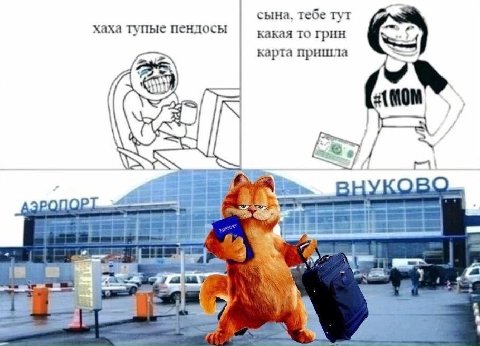 сына, тебе тут хаха тупые пендосы какая то грин карта пришла 2 +4