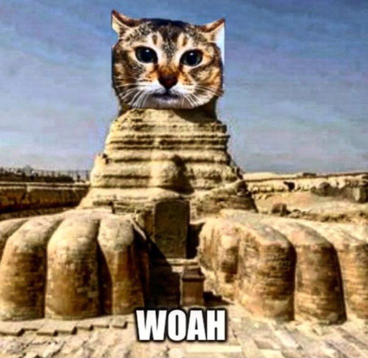 A a у