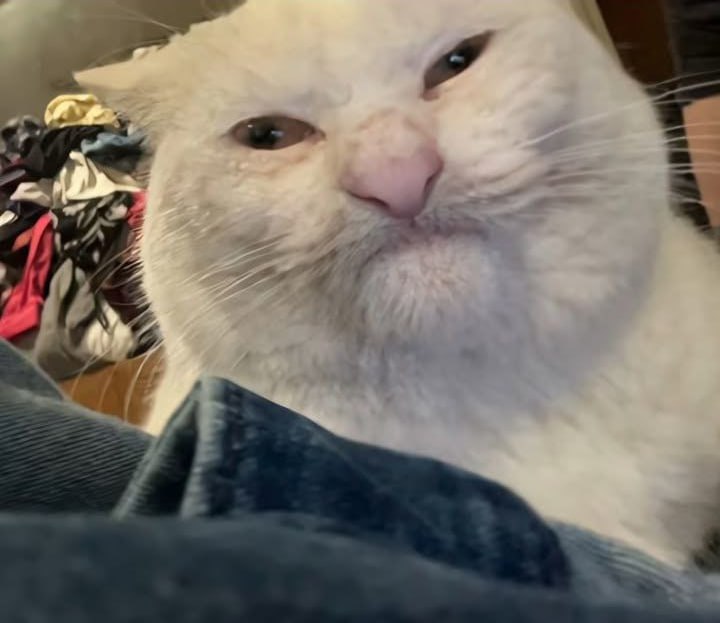 >MONDAY TOMORROW