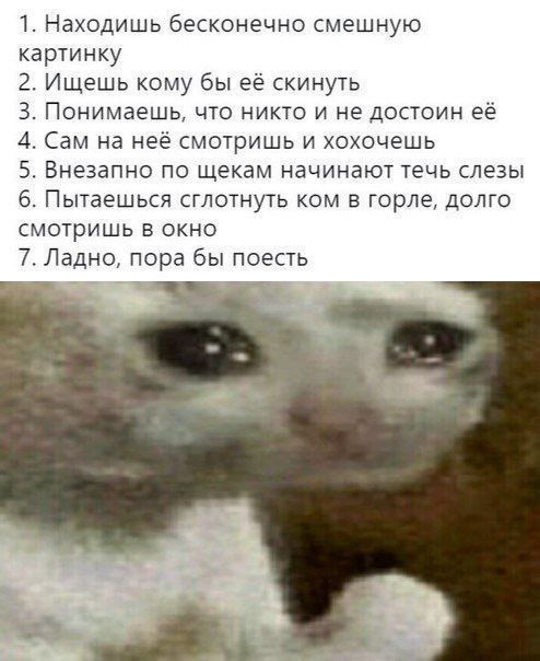 1. Находишь бесконечно смешную картинку 2. Ищешь кому бы её скинуть 3. Понимаешь, что никто и не достоин её 4. Сам на неё смотришь и хохочешь 5. Внезапно по щекам начинают течь слезы 6. Пытаешься сгло