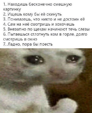 1. Находишь бесконечно смешную картинку 2. Ищешь кому бы её скинуть 3. Понимаешь, что никто и не достоин её 4. Сам на неё смотришь и хохочешь 5. Внезапно по щекам начинают течь слезы 6. Пытаешься сгло