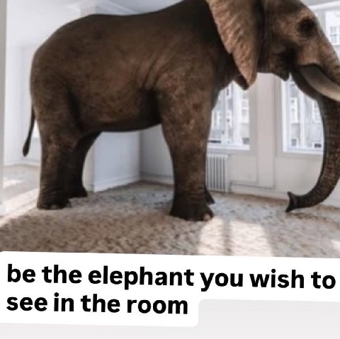 be the elephant you wish to see in the room