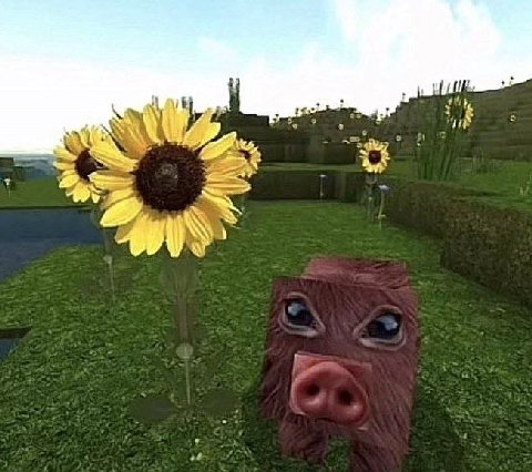 it