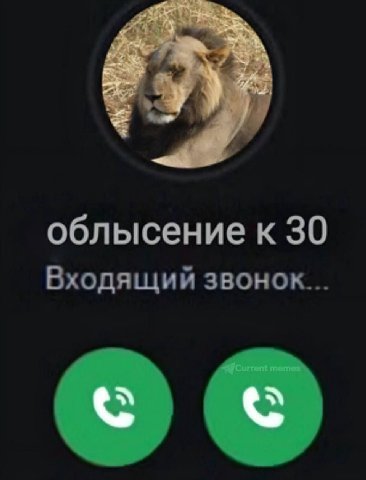 облысение к 30 Входящий звонок...