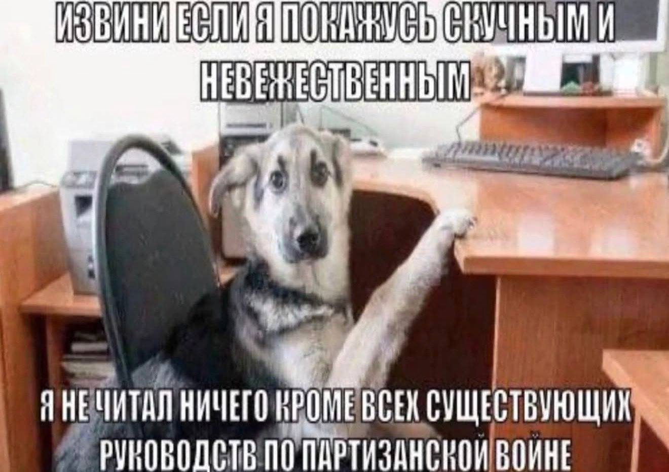 I УЧНЫМ И НЕБЕ ЯНЕЧИТАЛ НИЧЕГО ВСЕХ СУЩЕСТВУЮЩИХ ПО ПАРТИЗАНСРОИ