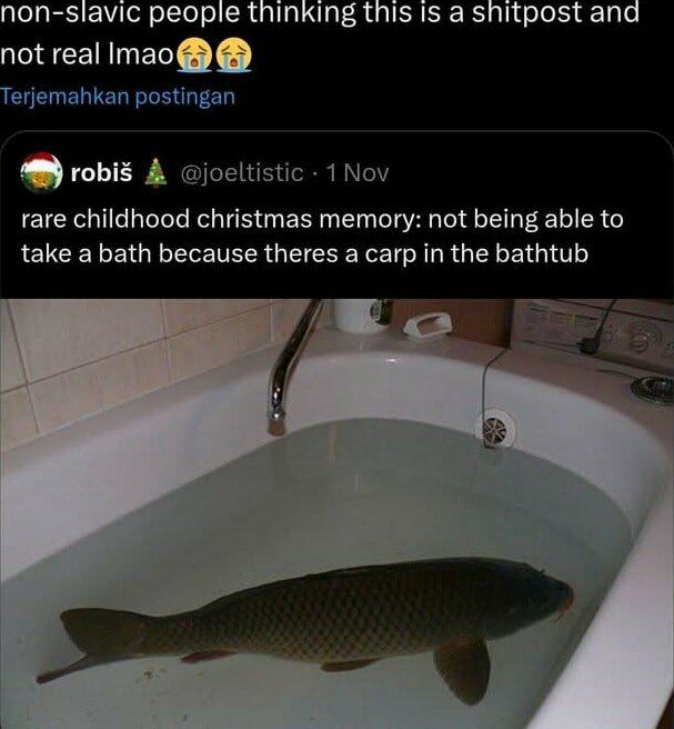 non-slavic people thinking tnis Is а snitpost ano not real erjemahkan postingan robis A @joeltistic 1 Nov rare childhood christmas memory: not being able to take a bath because theres a carp in the ba